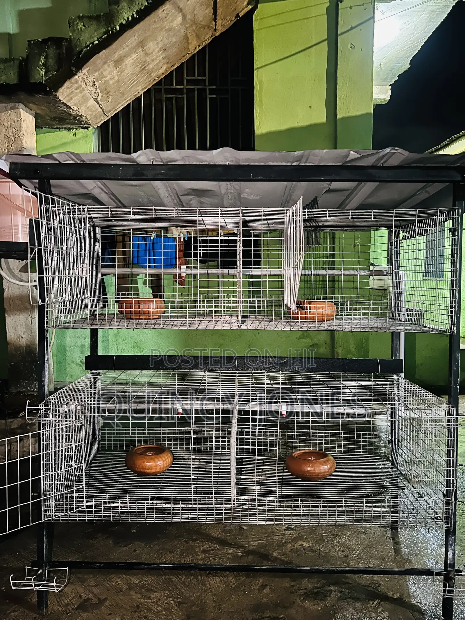 4unit Cage With a Water System