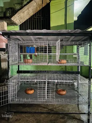 4unit Cage With a Water System