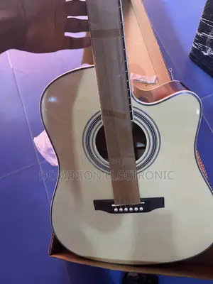 Semi Acoustic Guitar