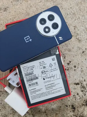 OnePlus 13 512 GB Blue