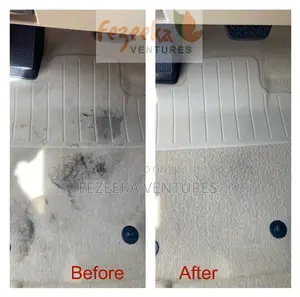 Professional Cleaning Service