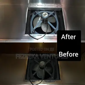 Professional Cleaning Service