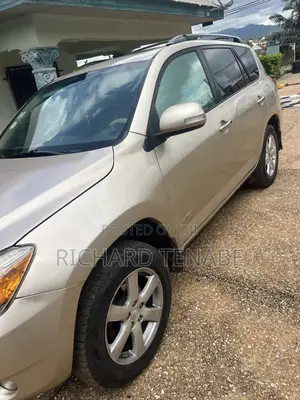 Toyota RAV4 Limited 2009 Gray