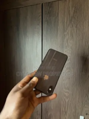 Apple iPhone XS Max 256 GB Gray