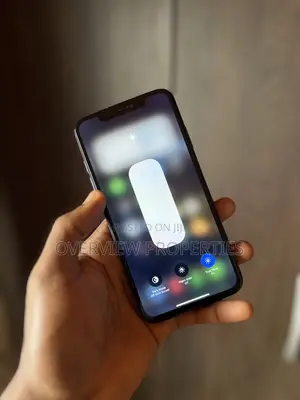 Apple iPhone XS Max 256 GB Gray
