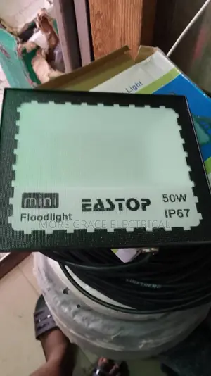 50w Flood Light
