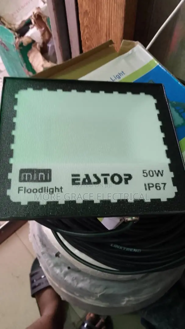 50w Flood Light