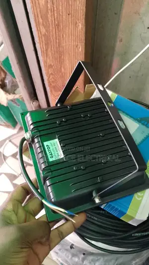 50w Flood Light