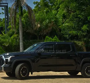 Toyota Tundra 2024 Black