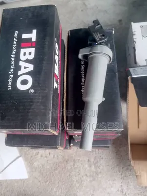 BMW Original Coil