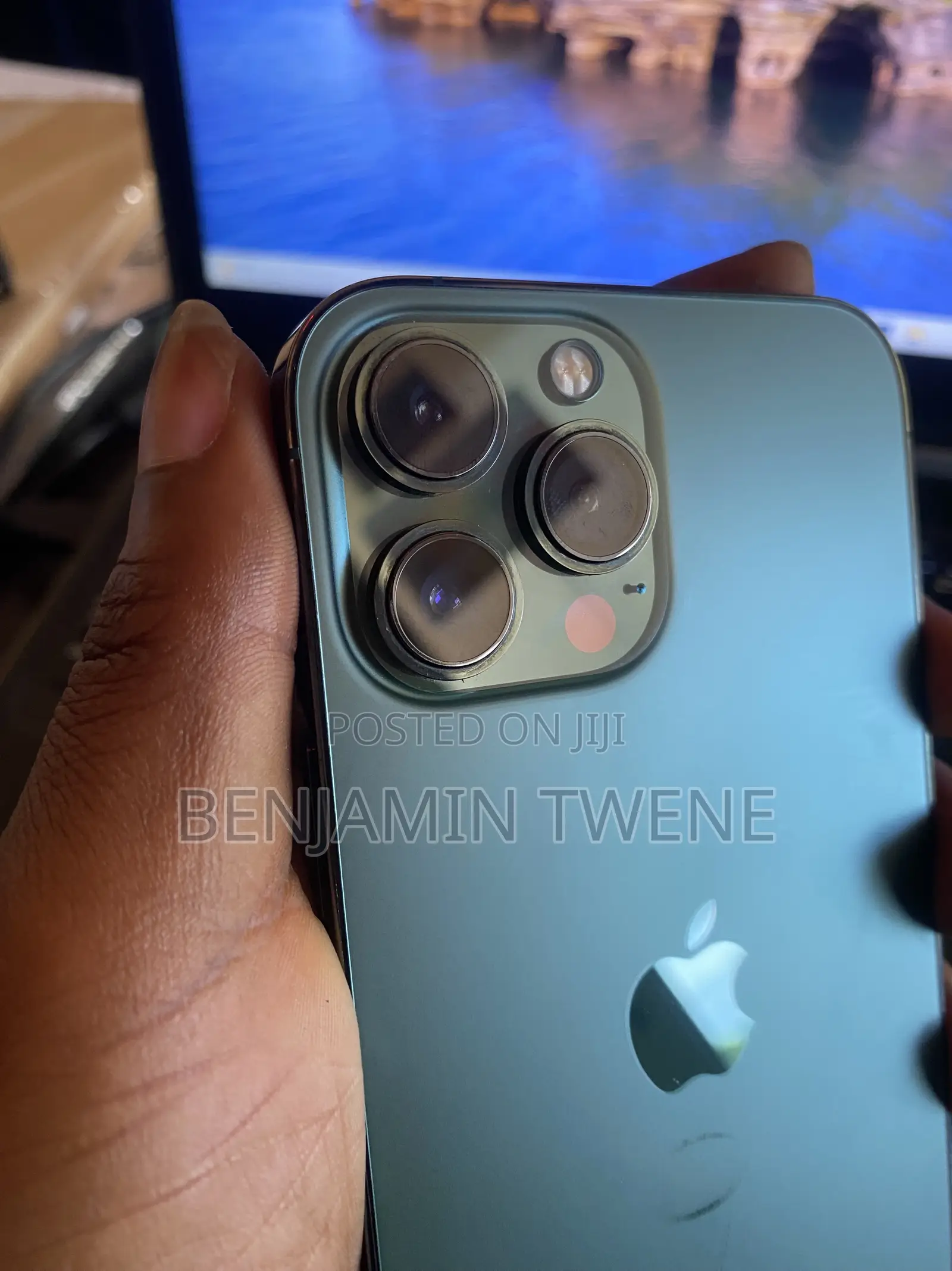 Apple iPhone 13 Pro Max 256 GB Green