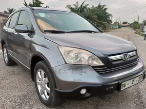 Honda CR-V 2010 Gray