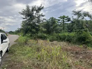 Plots of Land for Sale at a Cool Rate