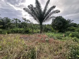 Plots of Land for Sale at a Cool Rate