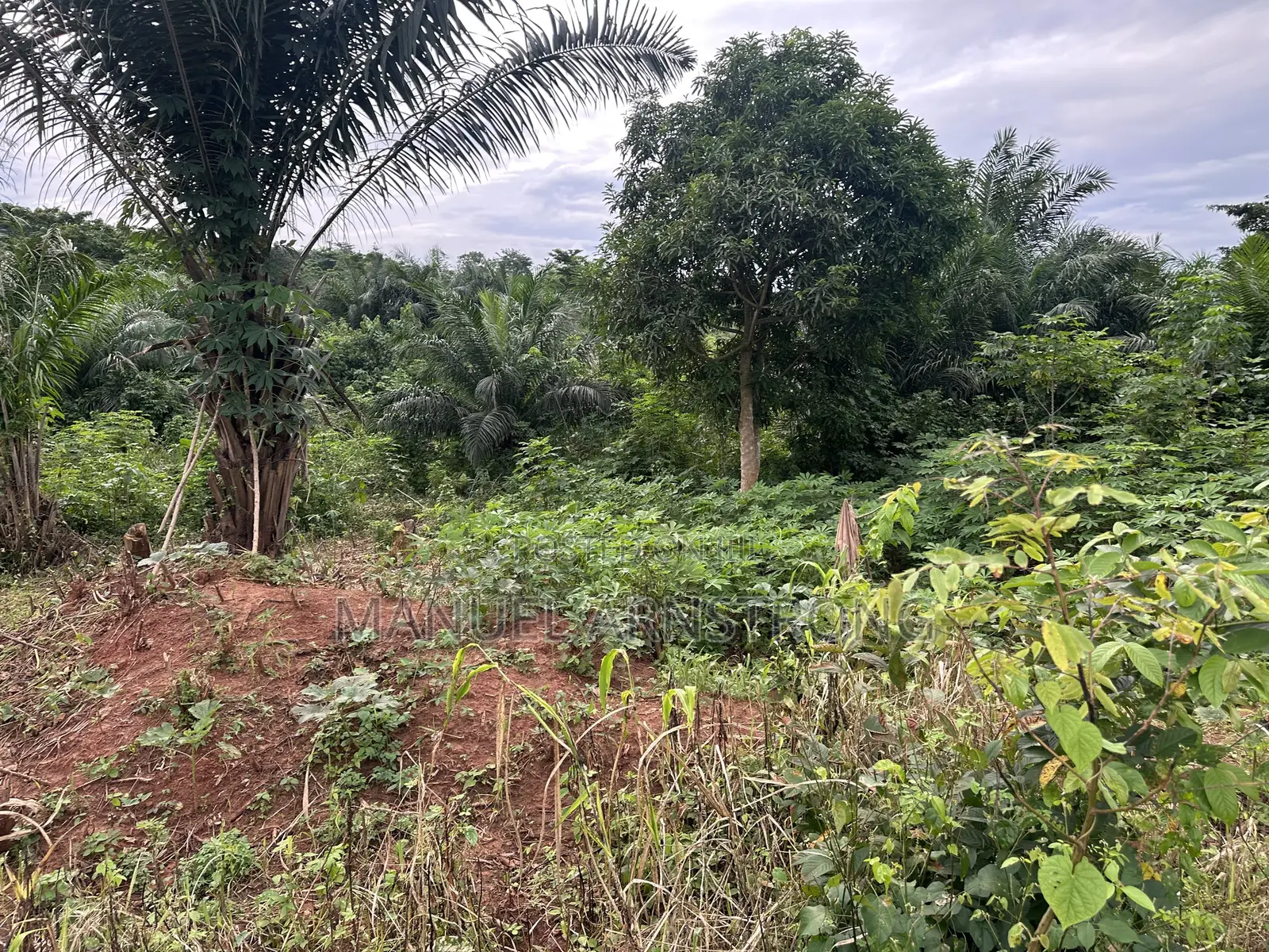 Plots of Land for Sale at a Cool Rate