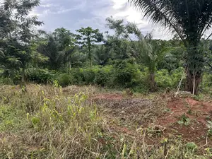 Plots of Land for Sale at a Cool Rate