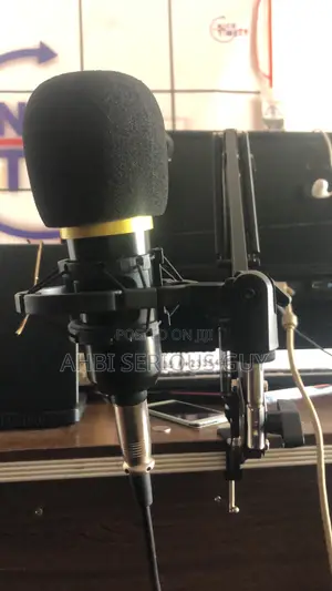Condenser Microphone