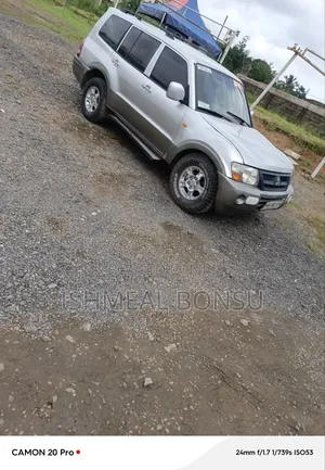 Mitsubishi Pajero 2005 Gray