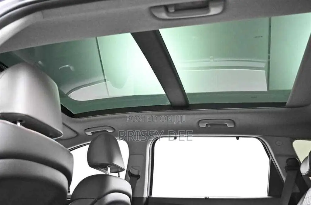 Hyundai Santa Fe 2019 Gray