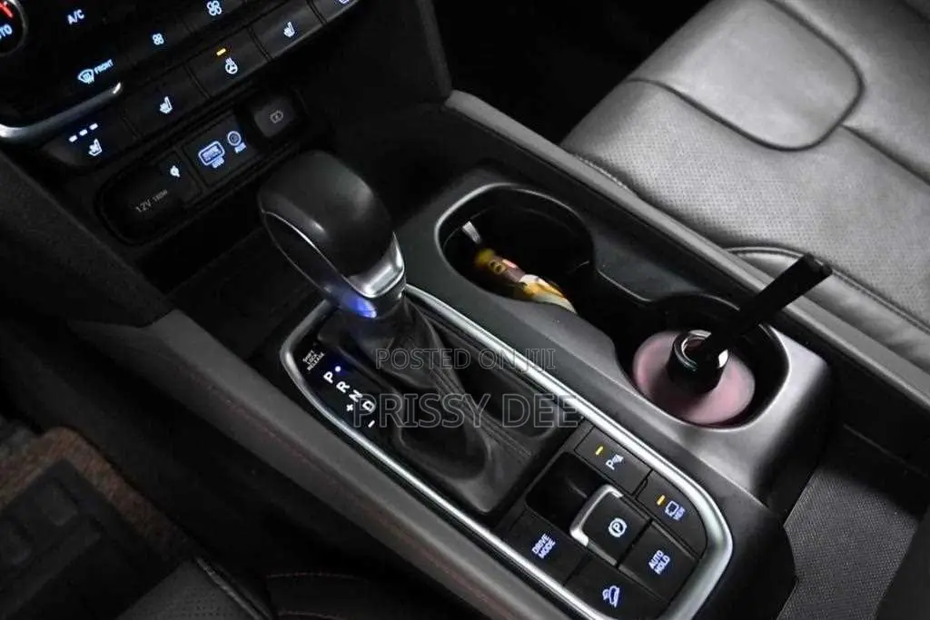 Hyundai Santa Fe 2019 Gray