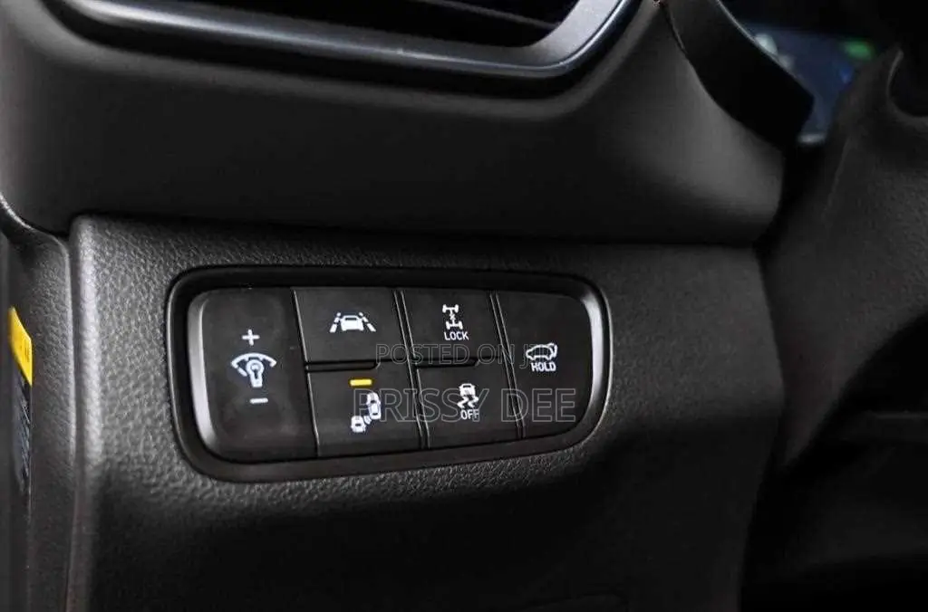 Hyundai Santa Fe 2019 Gray