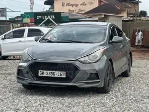 Hyundai Elantra 2013 Gray