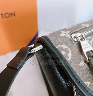 Louis Vuitton Side Bag