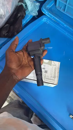 Oem Spark Plugs and Coils