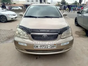 Toyota Corolla 2007 Gray
