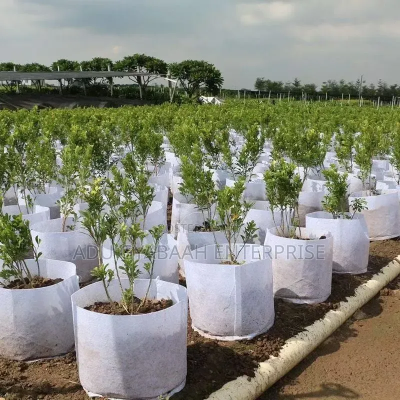 Premium Non-woven Fabric Grower/Planting Bags