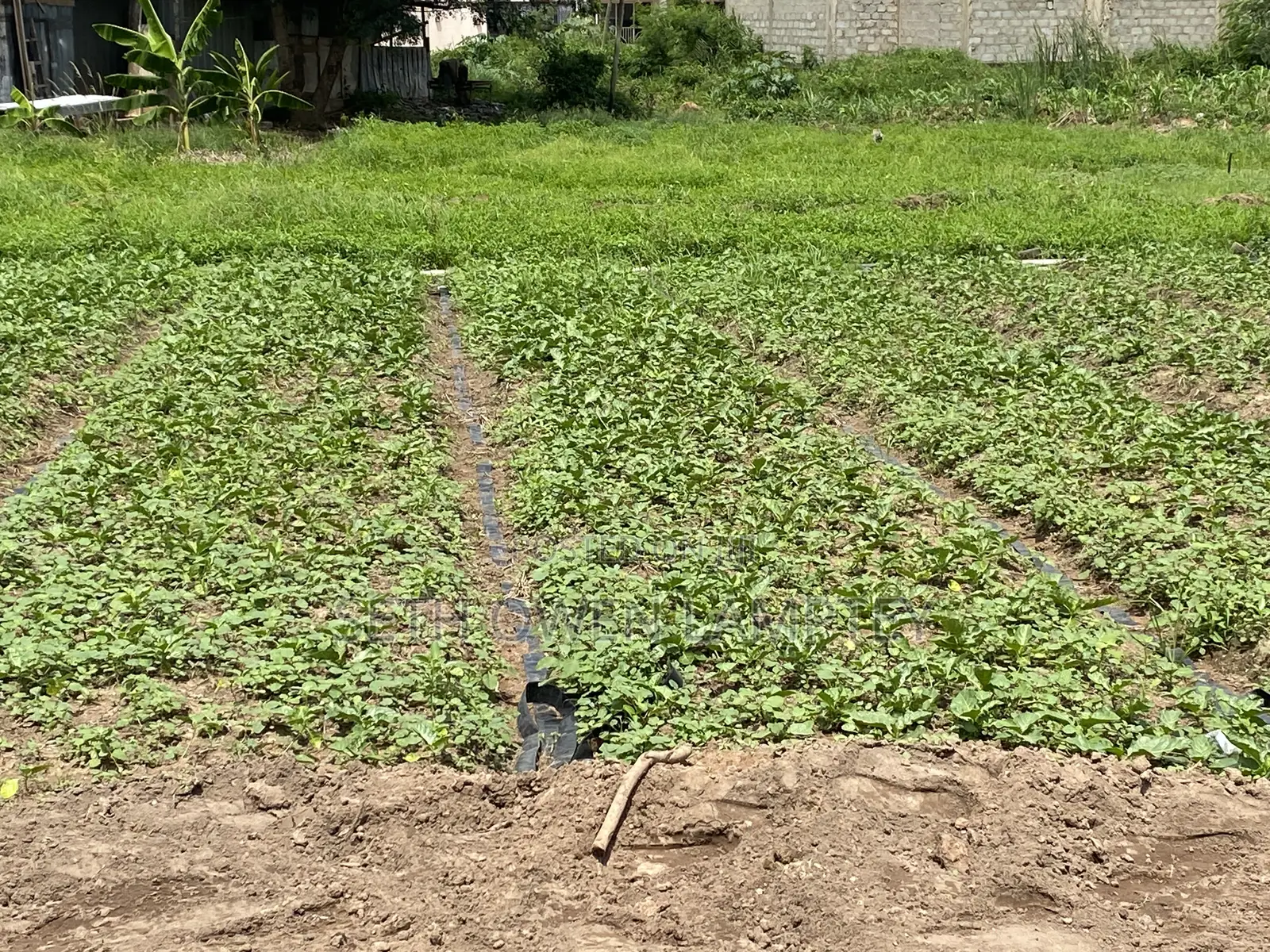 Plot of Land for Sell at Oyarifa, Haatso, Abokobi, Oyibi, Dodowa
