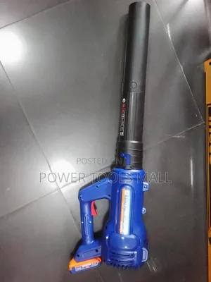 Wadfow Cordless Air Blower