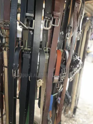 Fashion Designer Belts