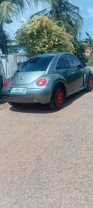 Volkswagen Beetle 2000 Gray