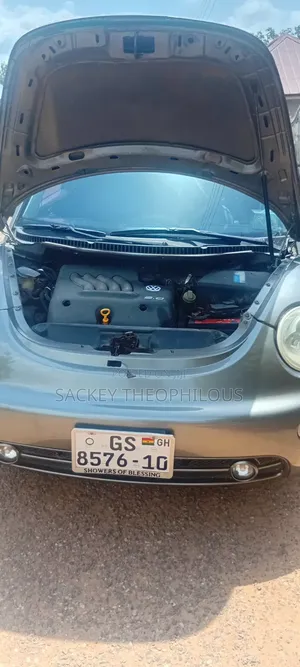 Volkswagen Beetle 2000 Gray
