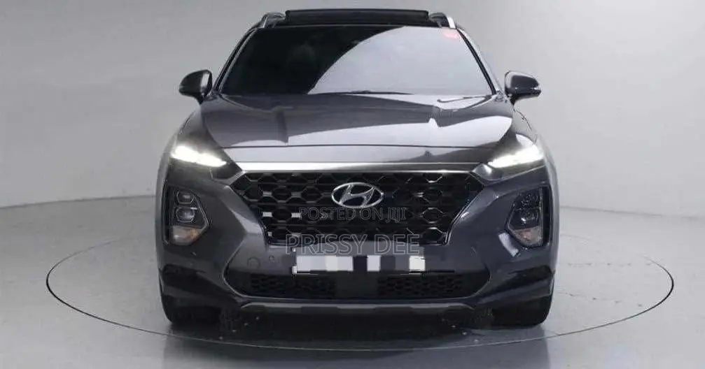 Hyundai Santa Fe 2019 Gray