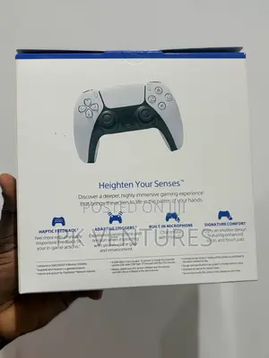 Ps5 Game Pad (Nor)
