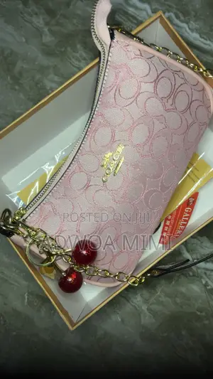 Luxury Ladies Bags