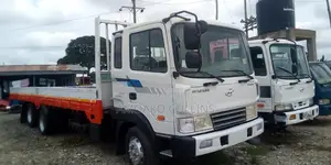 Hyundai 2011 White