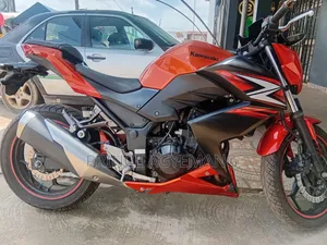 Kawasaki Bike 2014 Orange