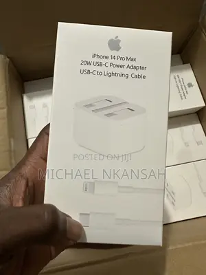 Original iPhone Charger