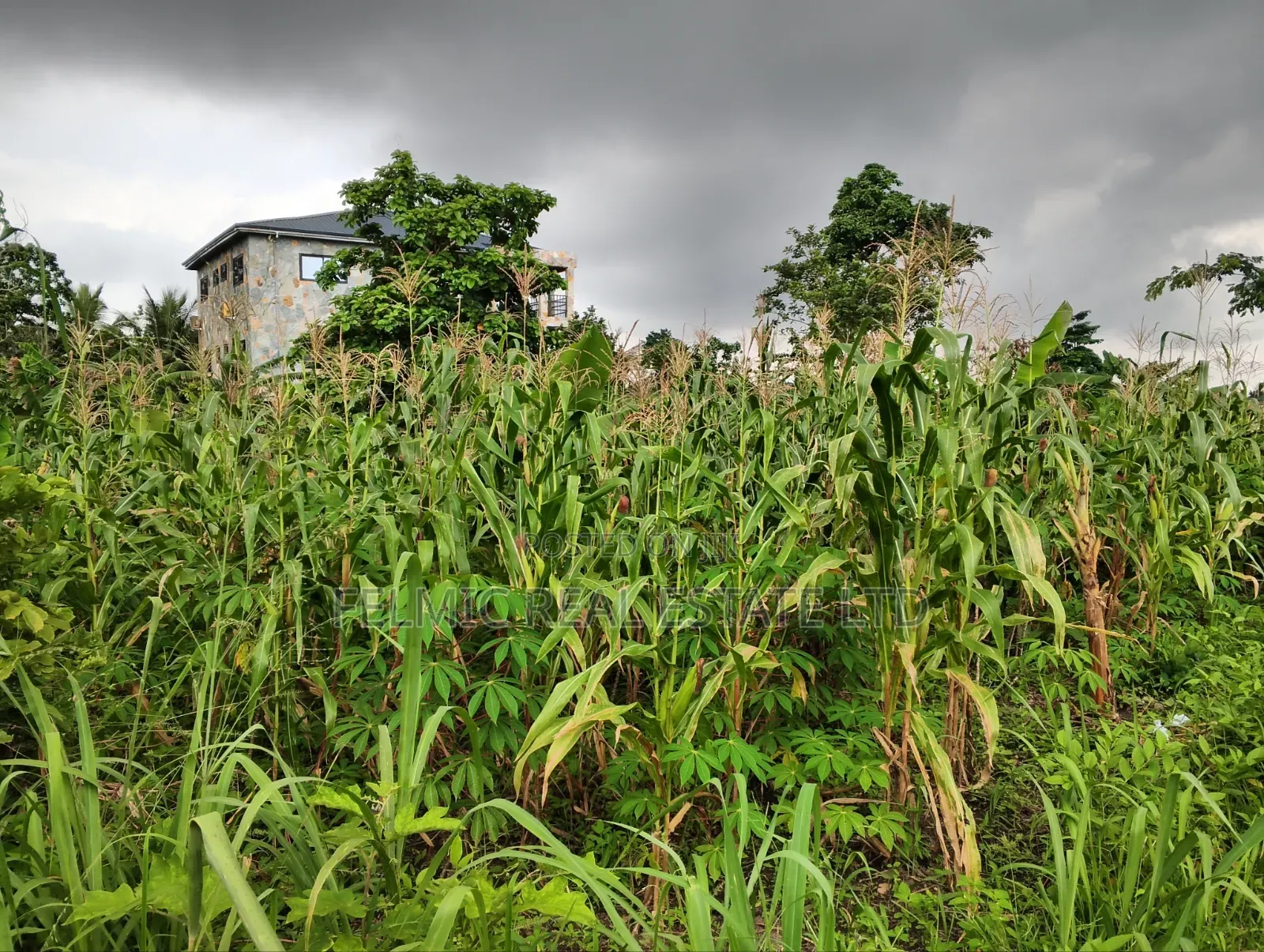 2 Plots Of Land At Aburi For Sale