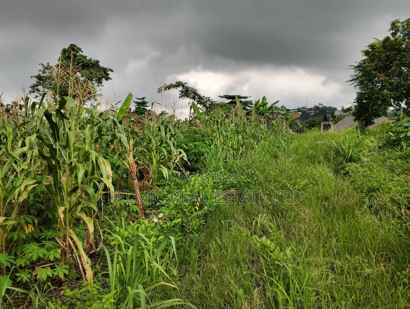 2 Plots Of Land At Aburi For Sale