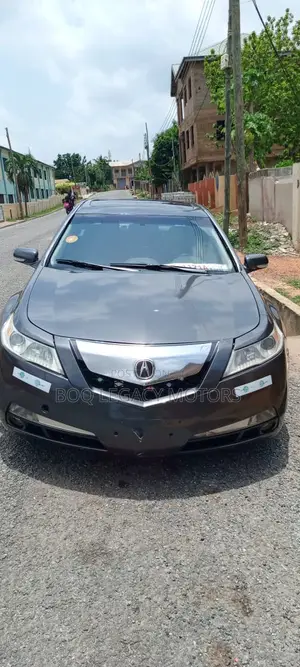 Acura TL 2009 Gray