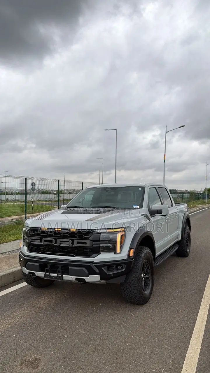 Ford F-150 Raptor 2024 Silver