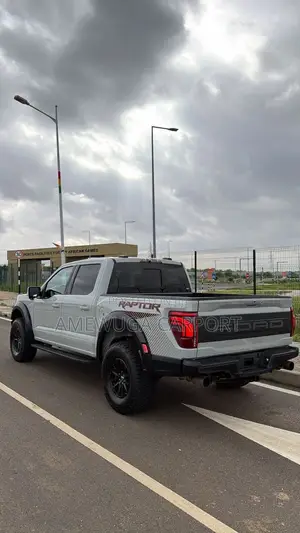 Ford F-150 Raptor 2024 Silver