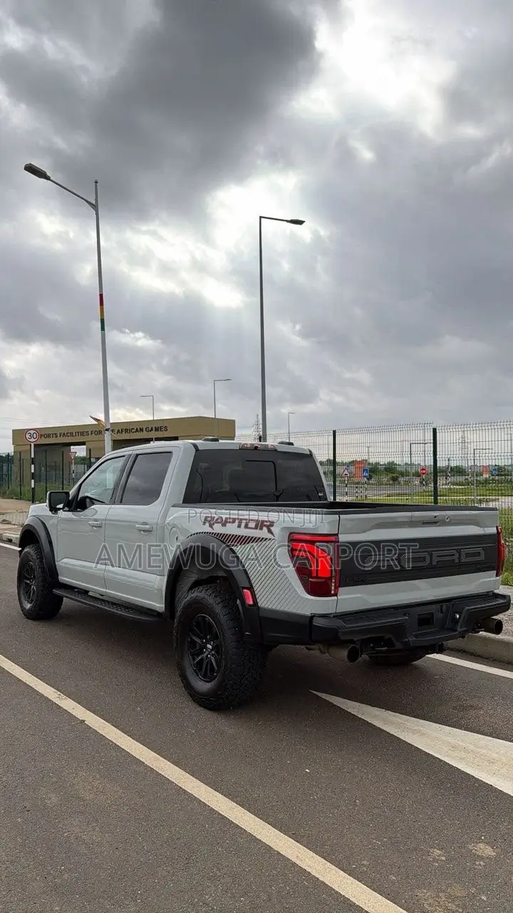 Ford F-150 Raptor 2024 Silver