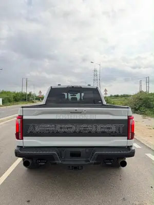 Ford F-150 Raptor 2024 Silver