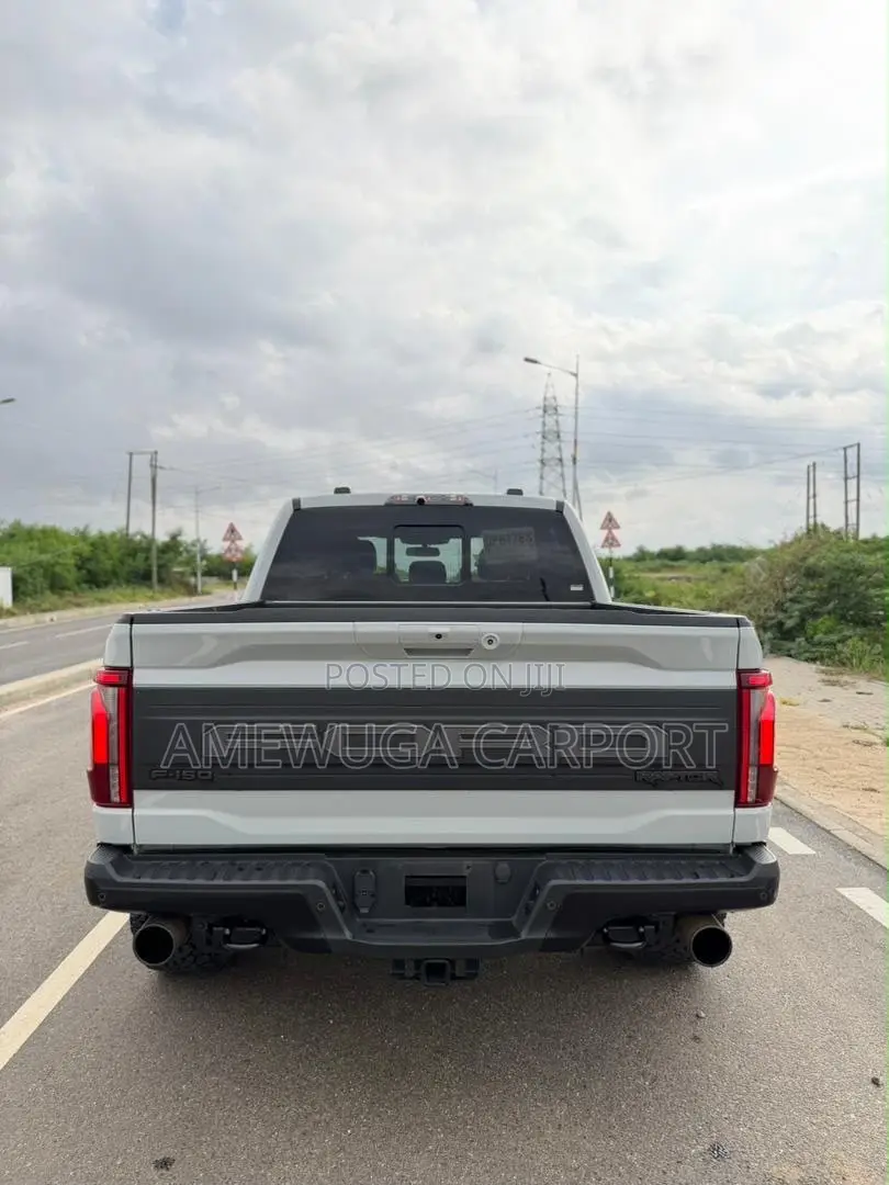 Ford F-150 Raptor 2024 Silver
