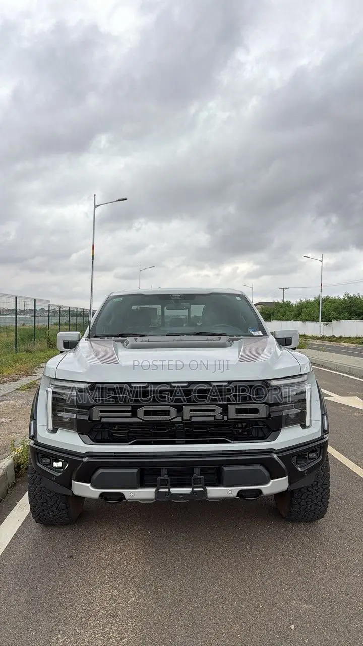 Ford F-150 Raptor 2024 Silver